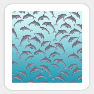 Dolphins Sticker